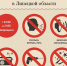 НЕ НАРУШАЙТЕ ТИШИНУ - Администрация Тербунского района