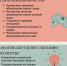 Бесплатная юридическая помощь для бизнеса - Администрация Тербунского района