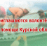 Партия «ЕДИНАЯ РОССИЯ» проводит набор волонтёров для помощи Курской области для открытия гуманитарного центра Партии - Администрация Тербунского района