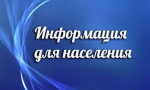 Правительство РФ утвердило новые Правила обращения с твердыми коммунальными отходами (ТКО)