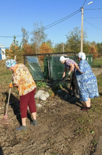 От всей души выражаем вам искреннюю благодарность за активное участие в уборке прилегающей территории!