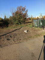 От всей души выражаем вам искреннюю благодарность за активное участие в уборке прилегающей территории!
