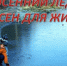 Безопасность детей - ответственность родителей! - Администрация Тербунского района