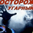 Угарный газ - Администрация Тербунского района