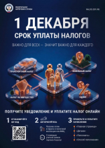 ФНС напоминает: срок уплаты имущественных налогов за 2025 год истекает 1 декабря 2026 года